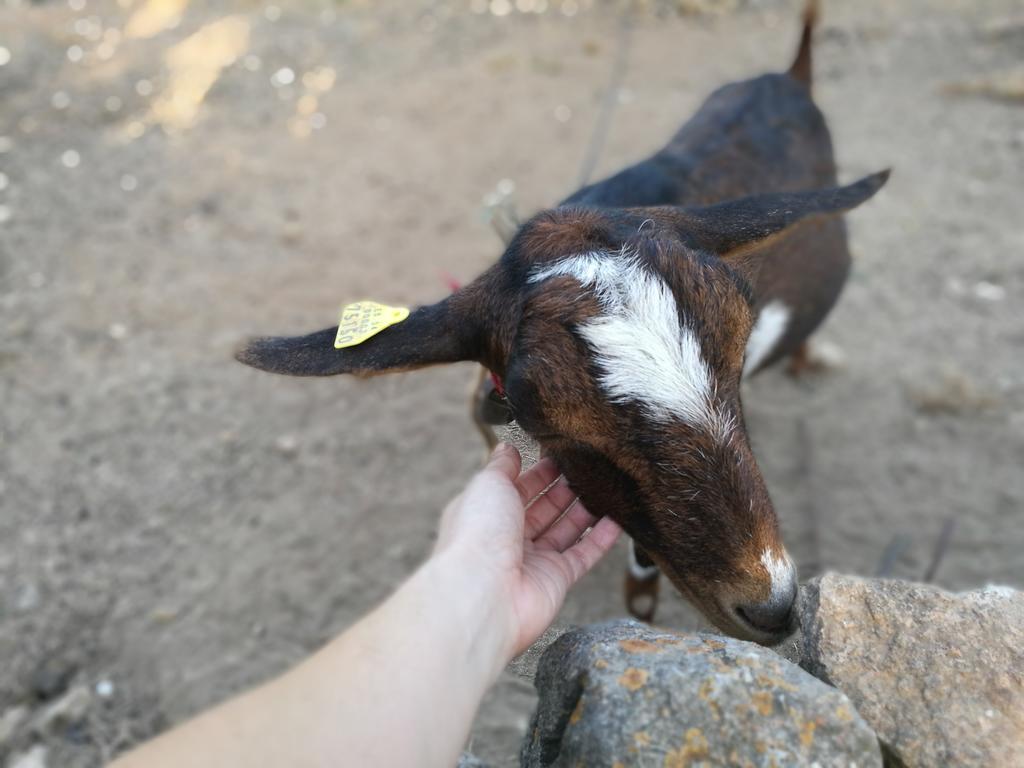 Agroturismo Rural Can Prats Santa Eularia des Riu Buitenkant foto
