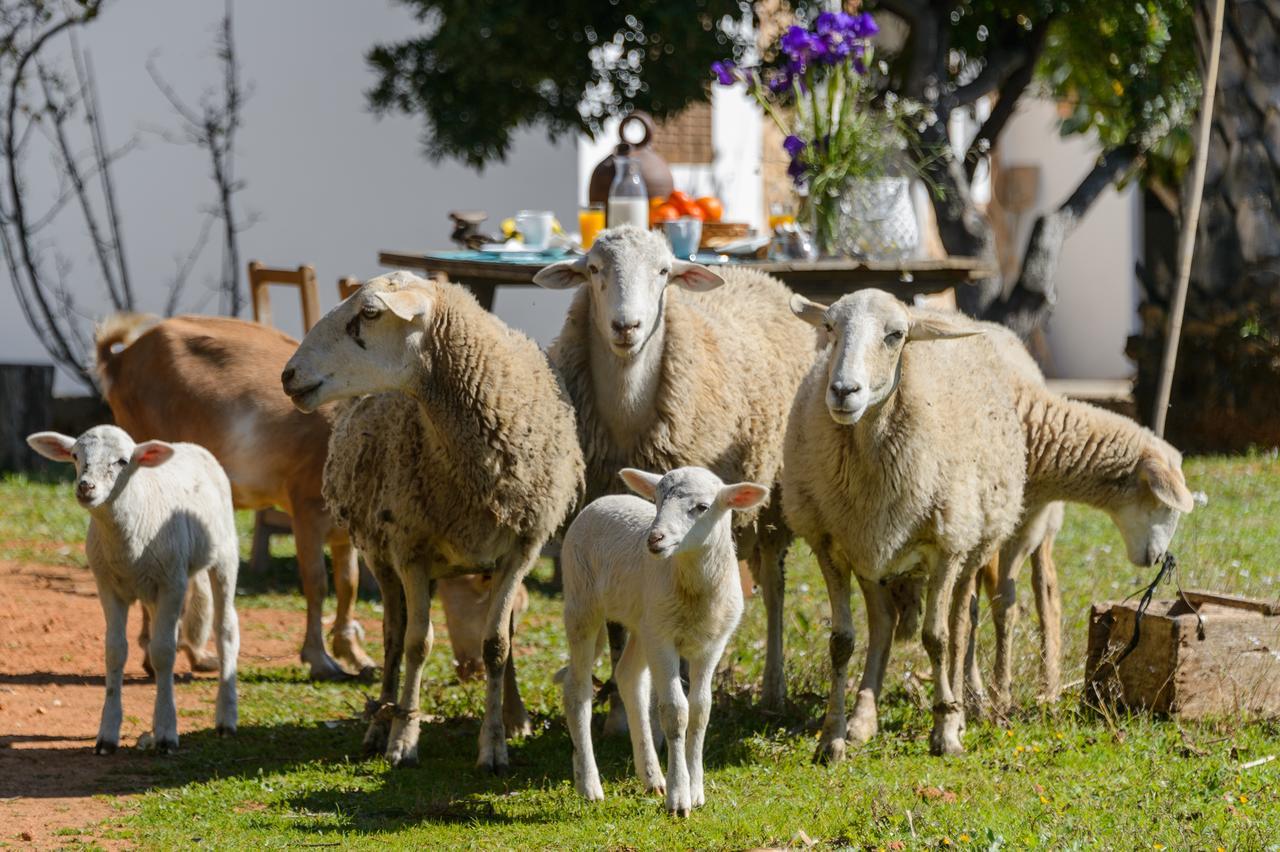 Agroturismo Rural Can Prats Santa Eularia des Riu Buitenkant foto